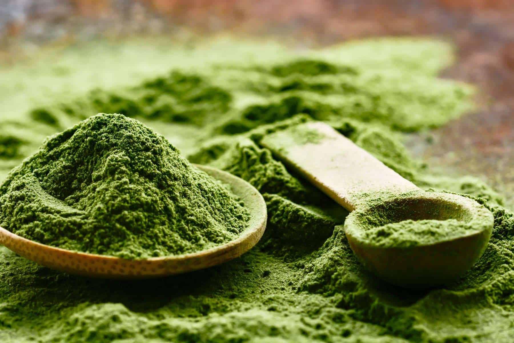 Kratom Supplements: What You Need to Know — Through Real User Experiences - Coastal Kratom Co